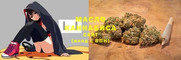 мдпв Богородицк