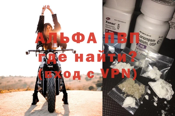 дживик Богородск