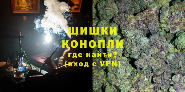дживик Богородск