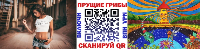 Галлюциногенные грибы Magic Shrooms Ейск
